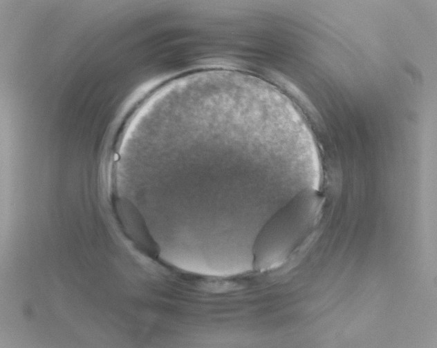 X0000114391323200911271451