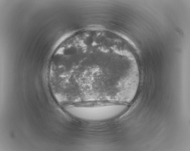 X0000114391325200911271451