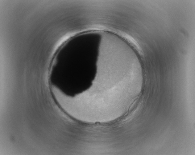 X0000114391326200911271451