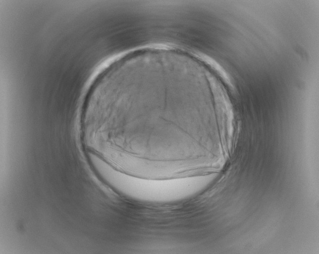 X0000114391327200911271451