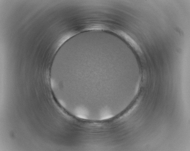 X0000114391329200911271451