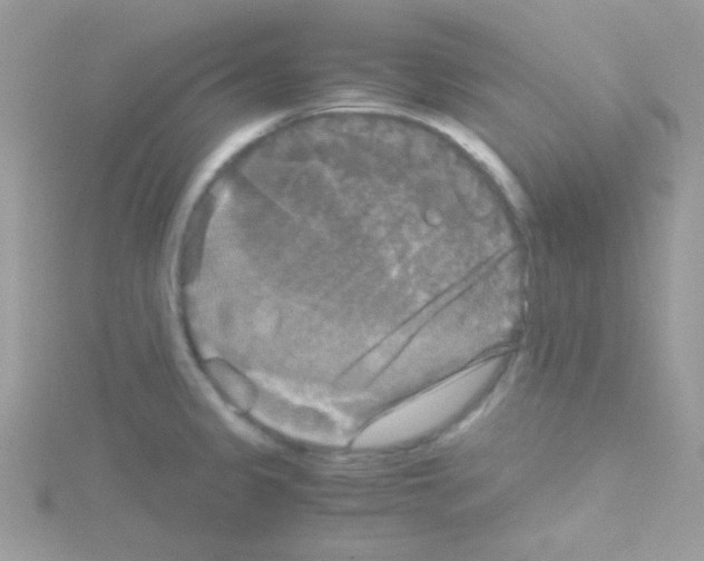 X0000114391333200911271451