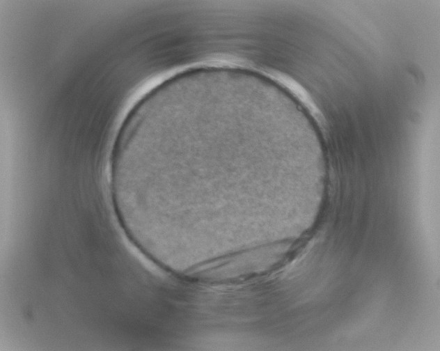 X0000114391335200911271451