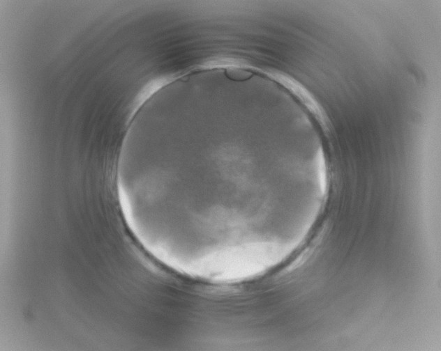 X0000114391337200911271451