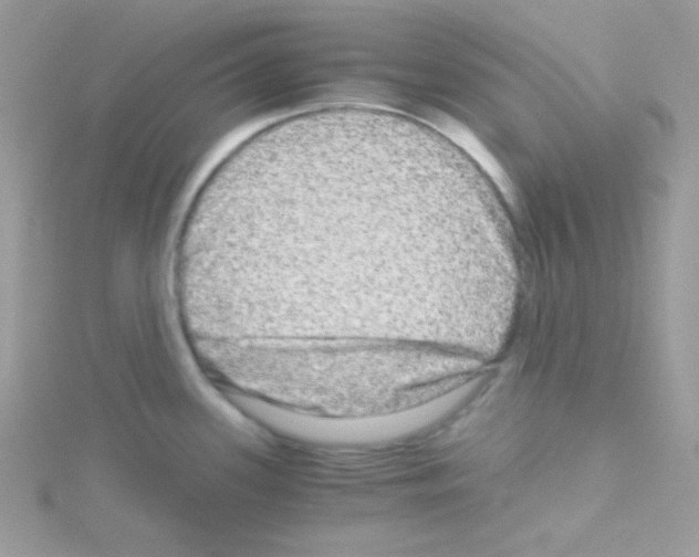 X0000114391339200911271451