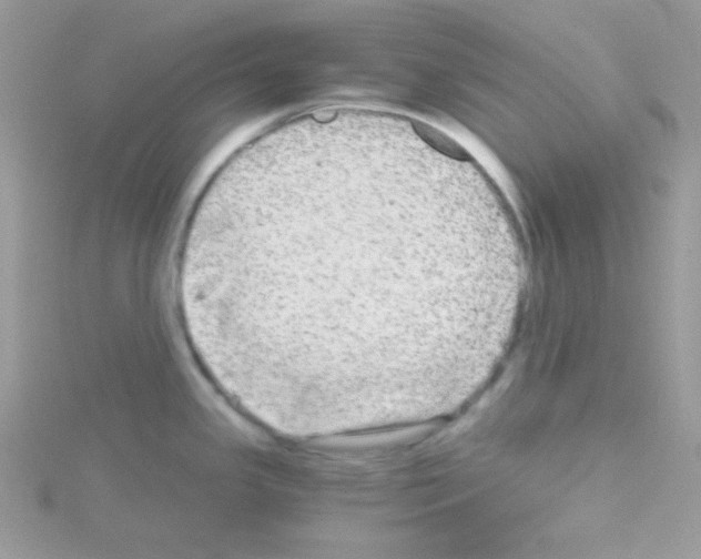 X0000114391341200911271451