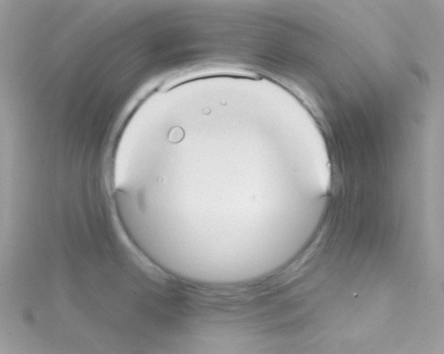 X0000114391342200911271451