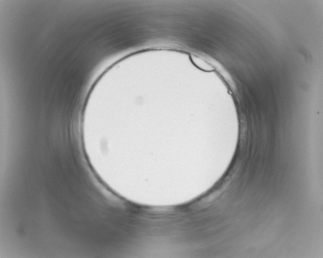 X0000114391343200911271451