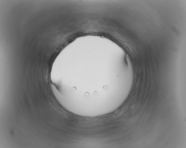 X0000114391348200911271450