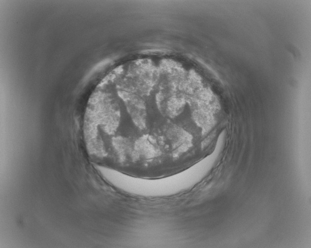 X0000114391351200911271450