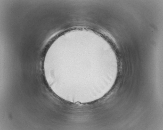 X0000114391352200911271450