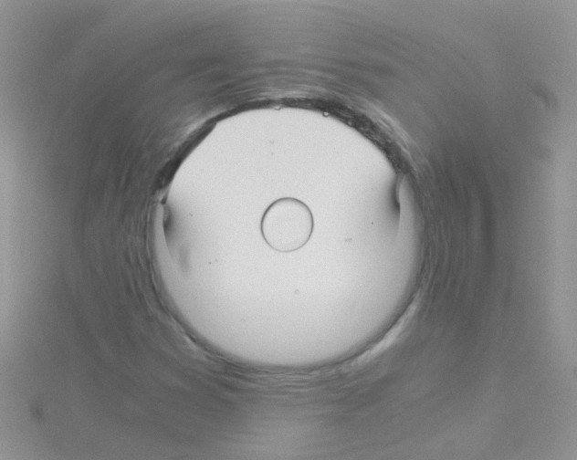 X0000114391353200911271450