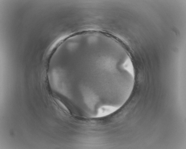 X0000114391359200911271450