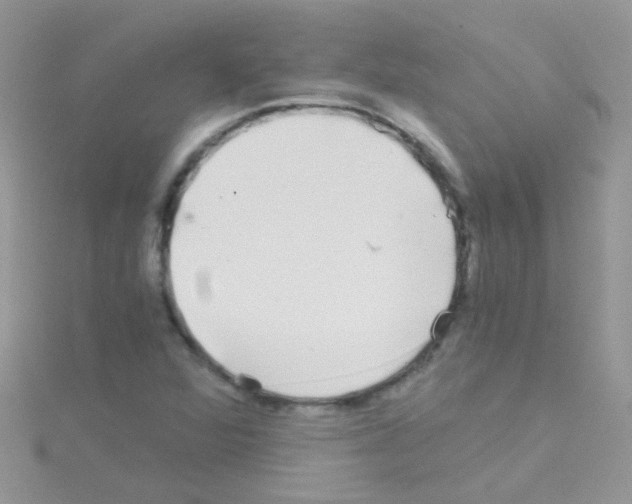 X0000114391360200911271450