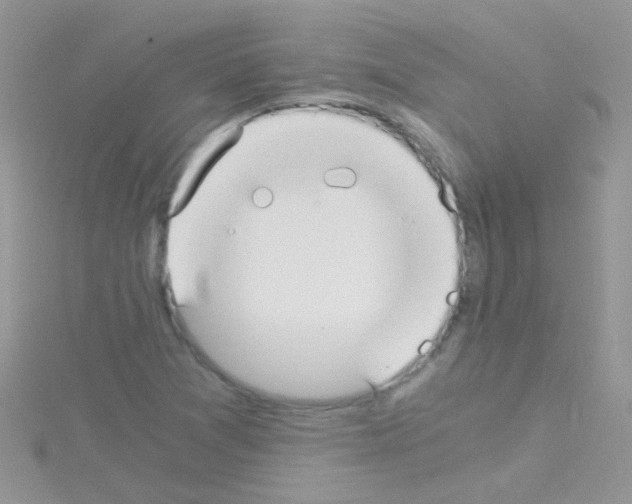 X0000114391361200911271450