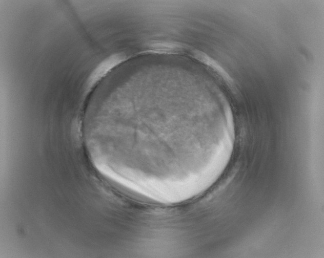 X0000114391362200911271450