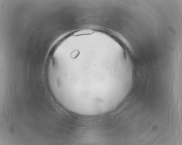 X0000114391364200911271450