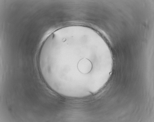 X0000114391365200911271450