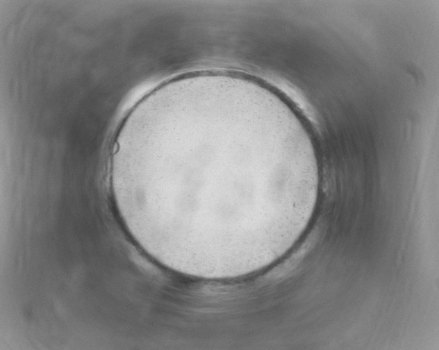 X0000114391366200911271450