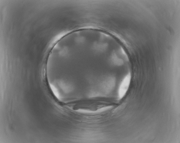 X0000114391367200911271450