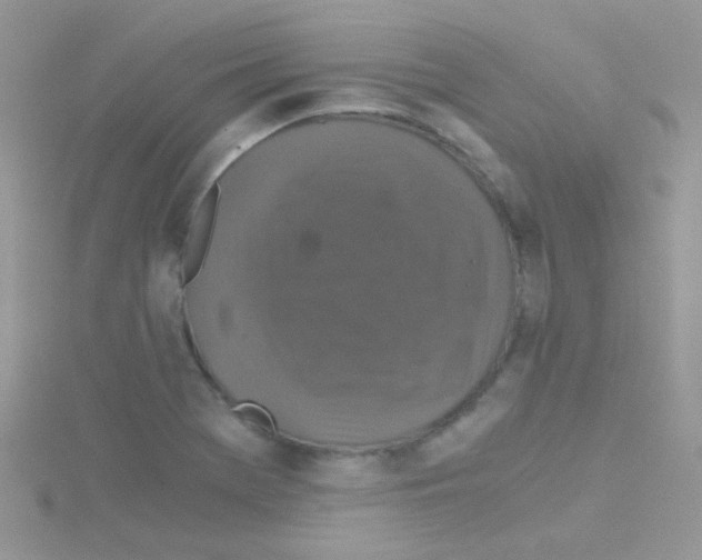 X0000114391369200911271450