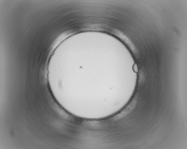 X0000114391370200911271450