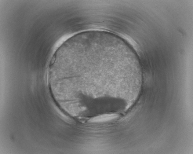 X0000114391371200911271450