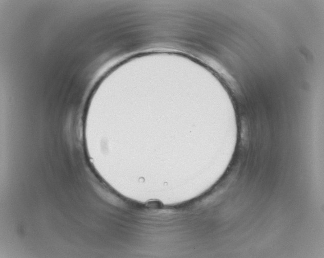 X0000114391372200911271450