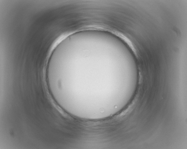 X0000114391373200911271450