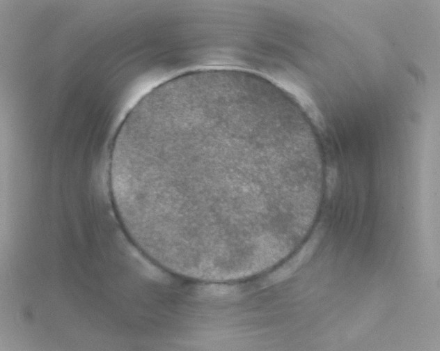 X0000114391374200911271450