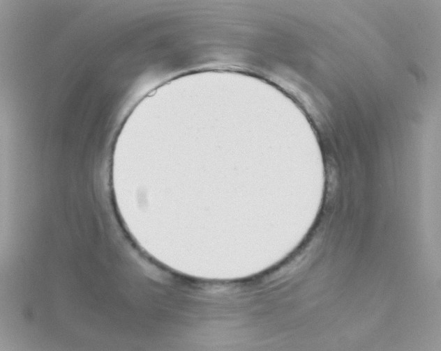 X0000114391375200911271450