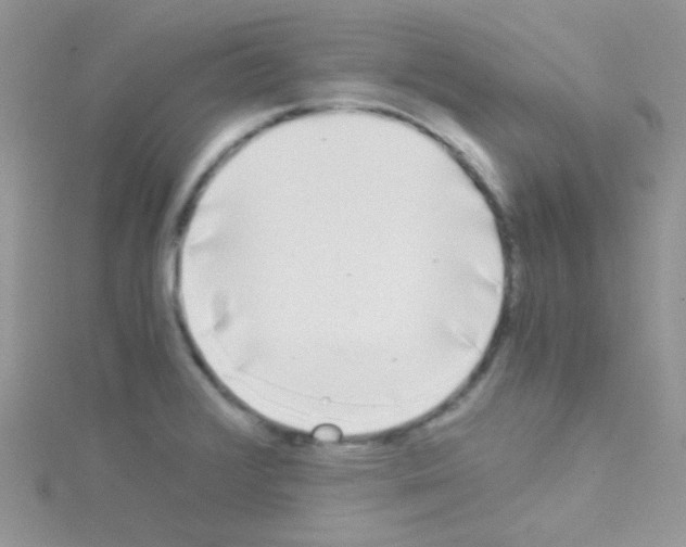 X0000114391376200911271450