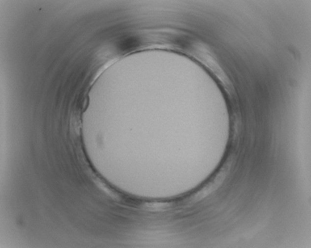 X0000114391377200911271450