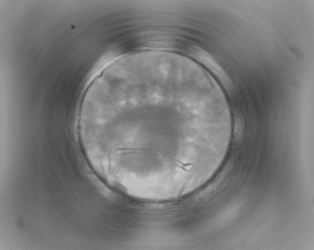 X0000114391378200911271450