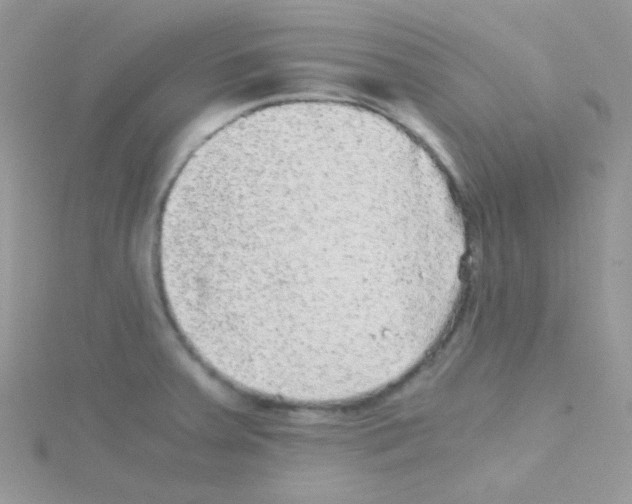 X0000114391379200911271450