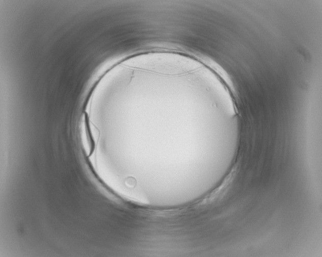 X0000114391381200911271450