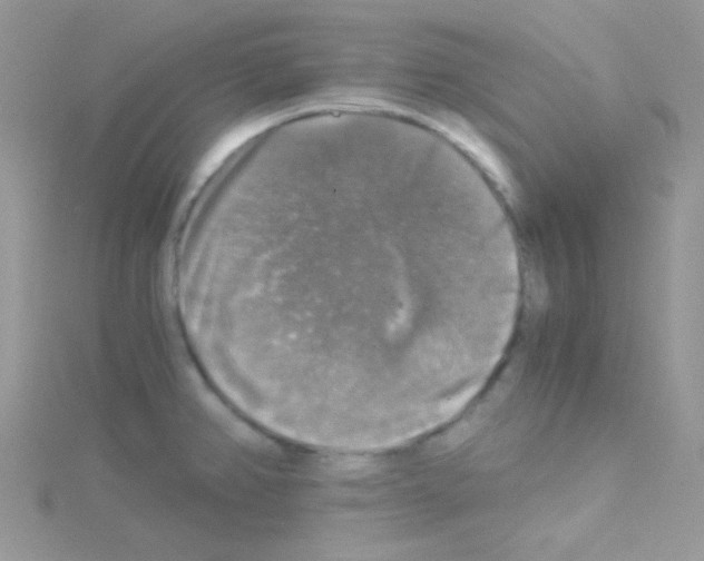 X0000114391382200911271450