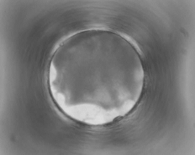 X0000114391383200911271450