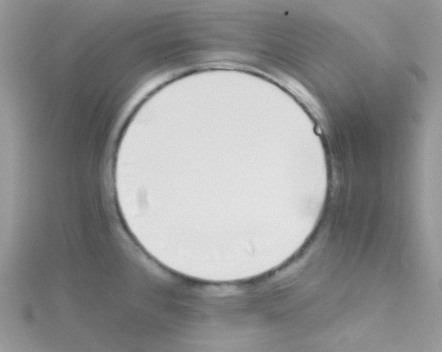 X0000114391384200911271450