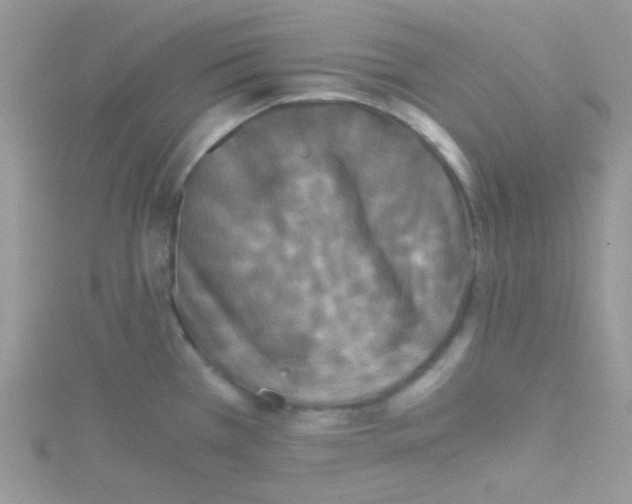 X0000114391385200911271450