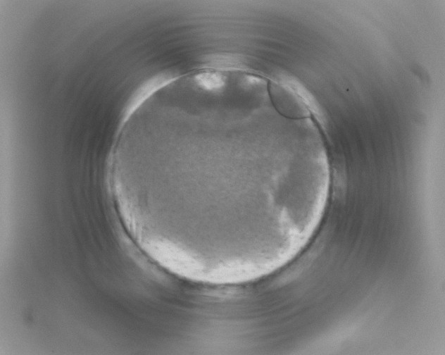 X0000114391386200911271450