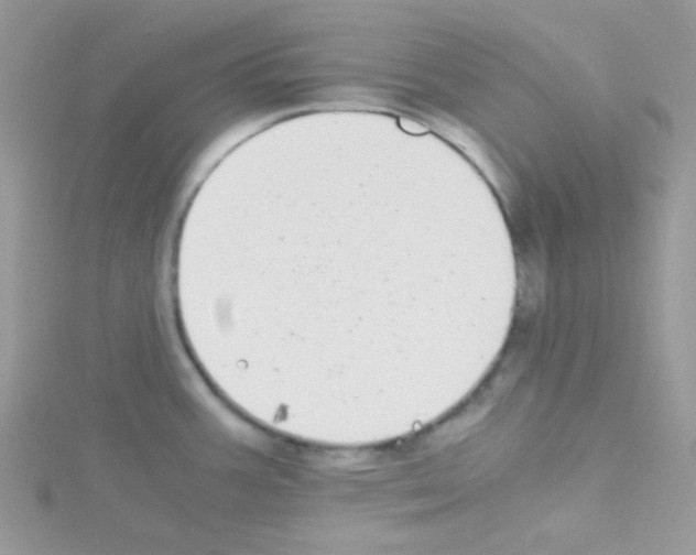 X0000114391387200911271450