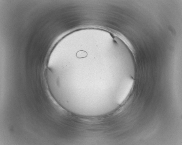 X0000114391388200911271450