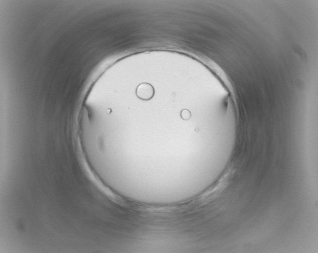 X0000114391389200911271450