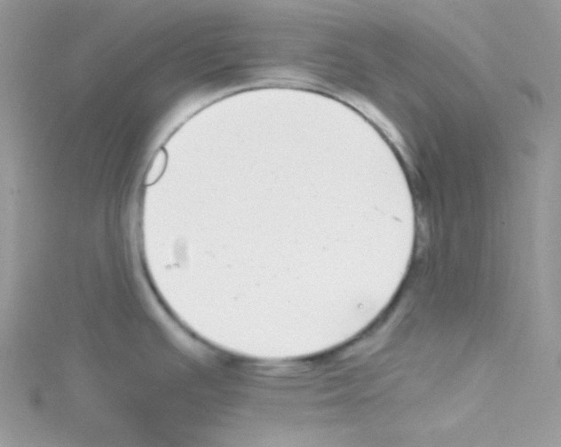 X0000114391391200911271450