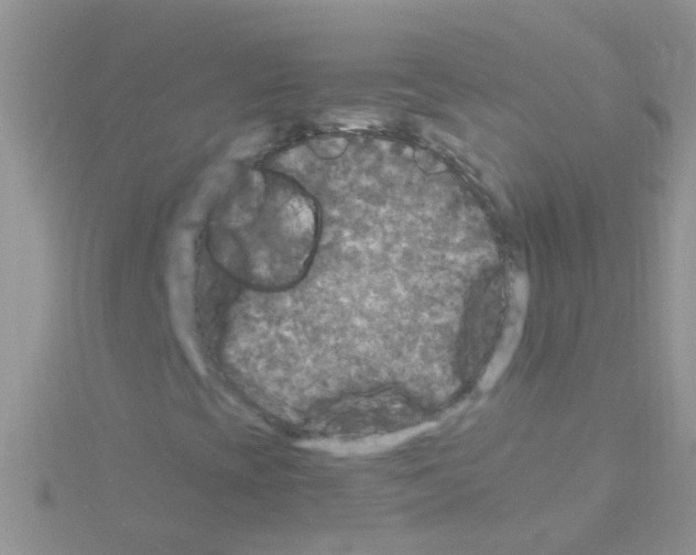 X0000114391393200911271449