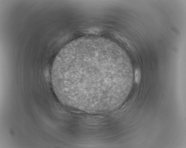 X0000114391395200911271449