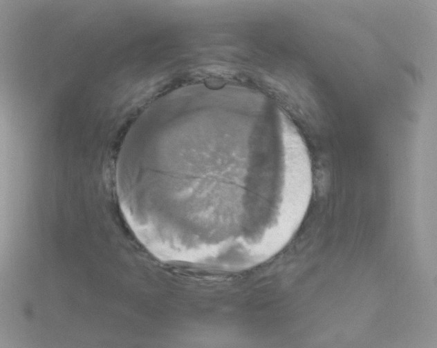 X0000114391397200911271449