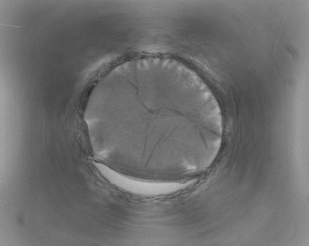 X0000114391398200911271449