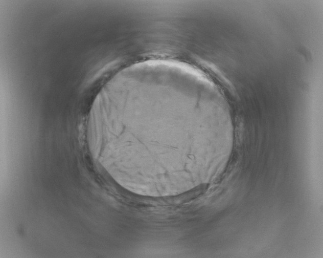 X0000114391399200911271449